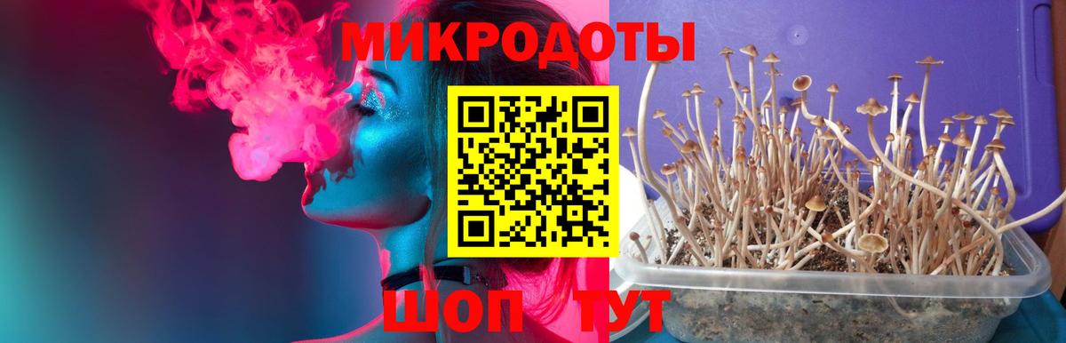 Галлюциногенные грибы Cubensis  Псилоцибиновые грибы Cubensis  Вход с VPN  Камень-на-Оби 